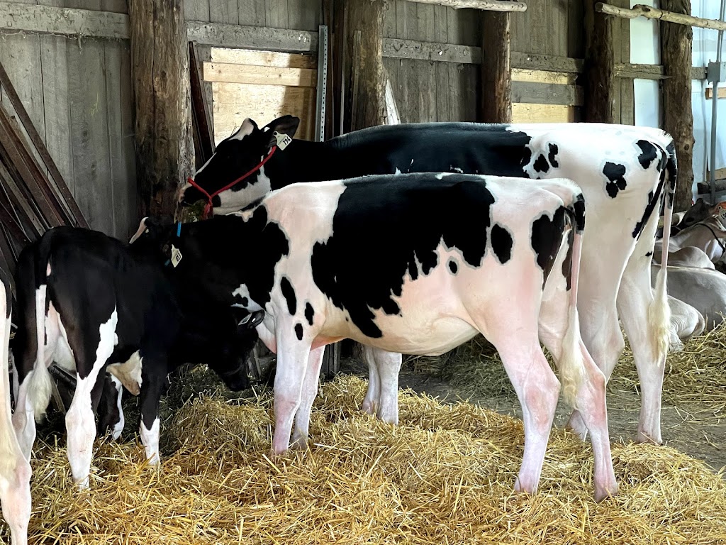 Bayfield Agricultural Society Grounds | 1 Fry St, Bayfield, ON N0M 1G0, Canada | Phone: (519) 482-5490