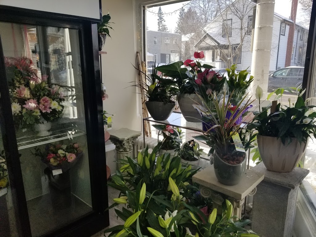 Cassidys Flowers & Gifts | 15 Main St S, Newmarket, ON L3Y 3Y1, Canada | Phone: (905) 895-8663