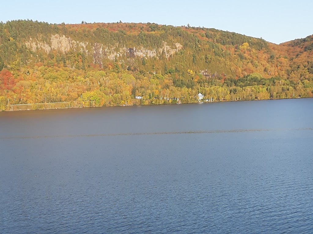 Observation de lours noir | 2369 Chem. de Saint-Jean-des-Piles, Saint-Jean-des-Piles, QC G0X 2V0, Canada | Phone: (819) 538-2112