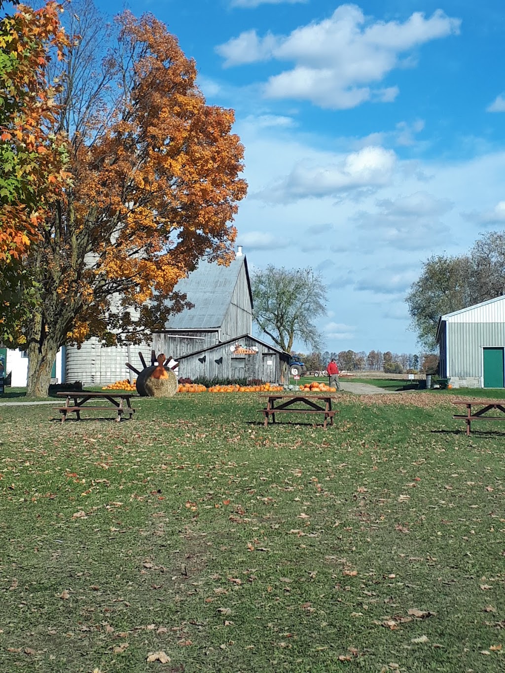 Browns Farm | *** Corn available at farm in Season Check farm Facebook Page for Corn availability****, 1809 Penetanguishene Rd, Barrie, ON L4M 4Y8, Canada | Phone: (705) 726-8017