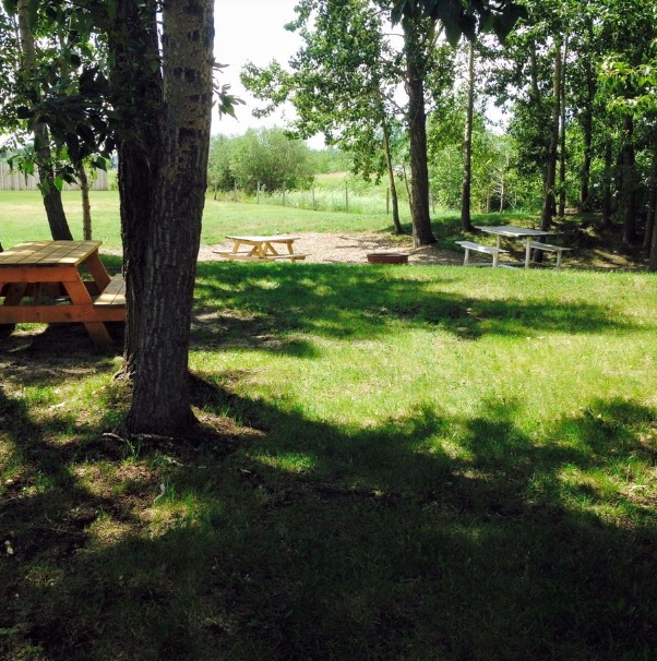 Prairie Junction RV Resort | 4402 50 St, Stettler, AB T0C 2L0, Canada | Phone: (403) 742-8855