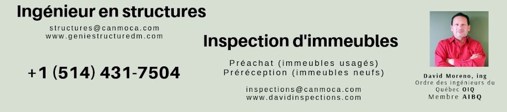 David Moreno Paez | 36 Av. de Sunrise Crescent, Pointe-Claire, QC H9R 4W1, Canada | Phone: (514) 839-7204
