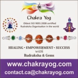 Rudraksha Ratna (Chakra Yog) | Rudraksha Ratna, 425 Britannia Rd E #137, Mississauga, ON L4Z 3E6, Canada | Phone: (647) 300-0249