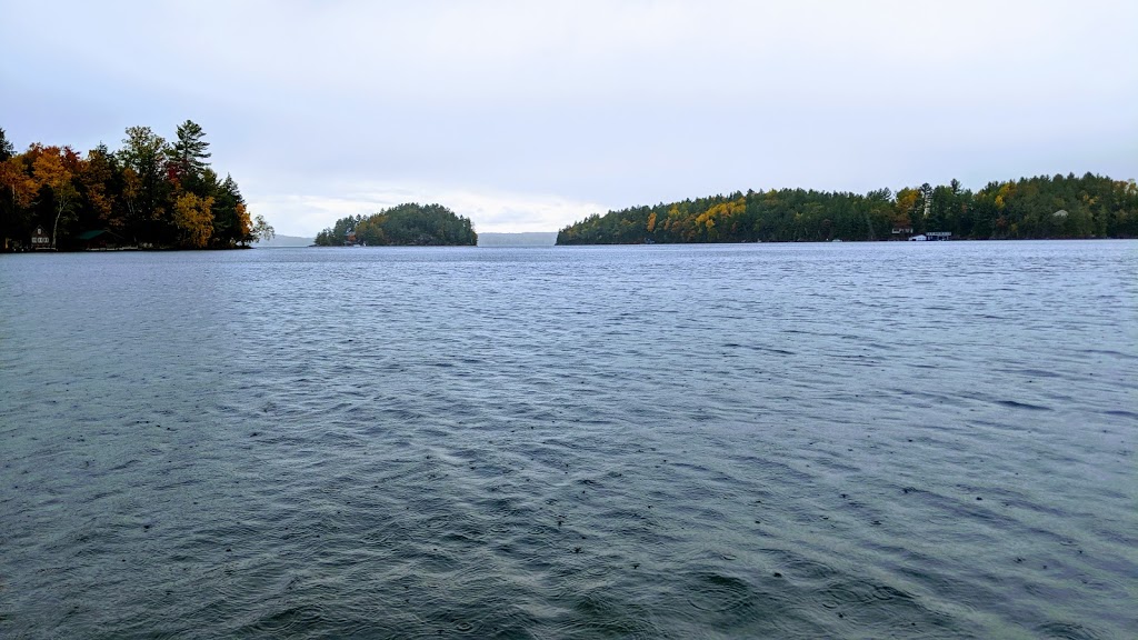 Muskoka Village Harbour and Marina | 1291 Skeleton Lake Road 2, Utterson, ON P0B 1M0, Canada | Phone: (416) 580-0352