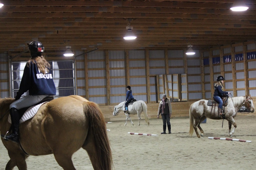 Cloud 9 Ranch | 31061 Rd 37E, La Broquerie, MB R0A 0N0, Canada | Phone: (204) 392-6308