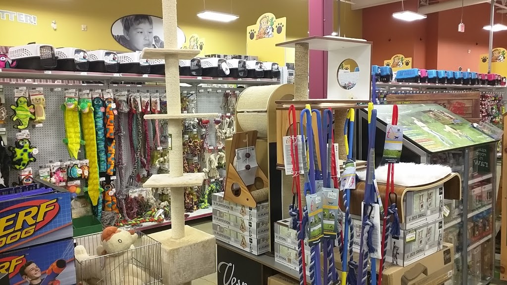 Petland | 6004 Currents Dr NW #6268, Edmonton, AB T6W 0L8, Canada | Phone: (587) 521-8210