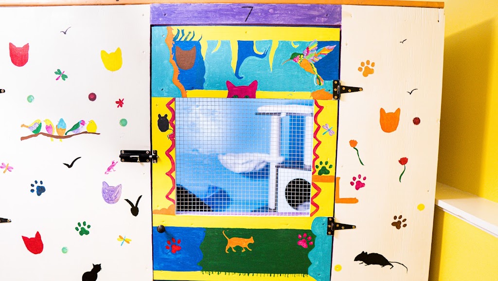 Halifax Kitty Hotel | 23 Robert Dr, Dartmouth, NS B2W 2A1, Canada | Phone: (902) 989-7297