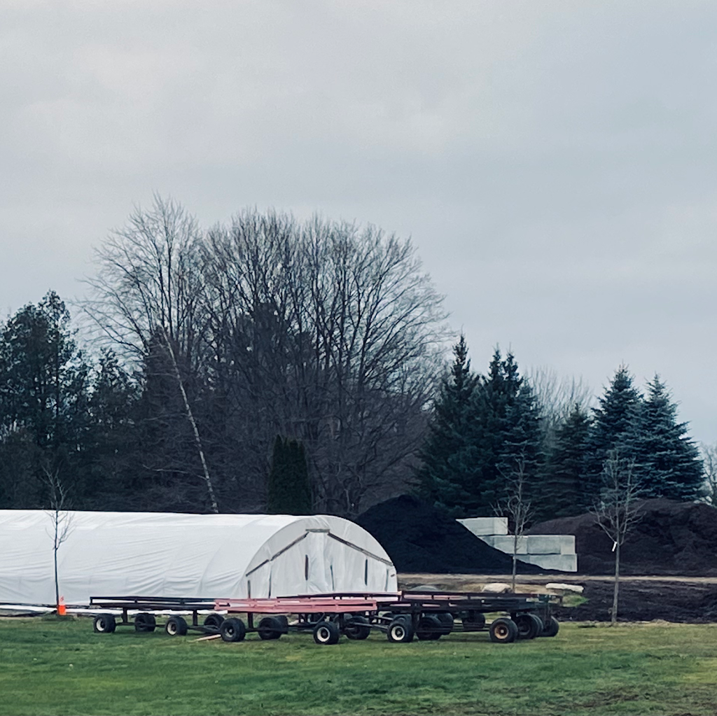 Rockwood Forest Nurseries | 437 Mark Rd, Cameron, ON K0M 1G0, Canada | Phone: (705) 374-4700