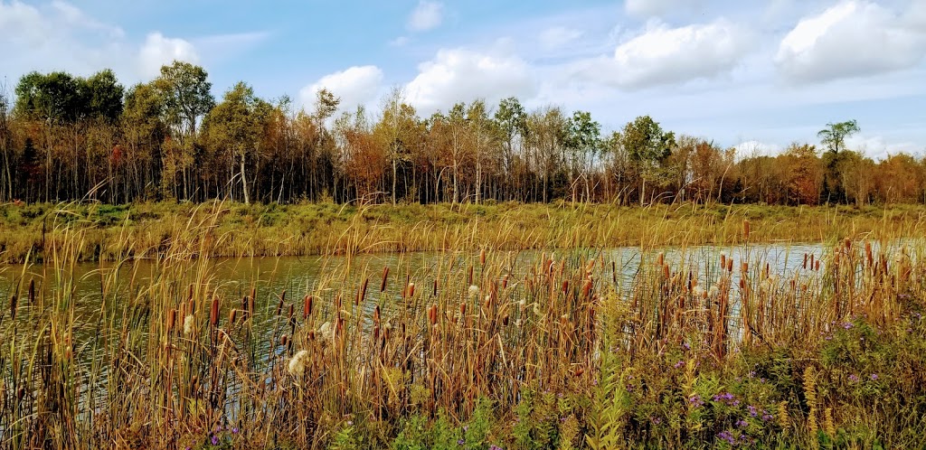 Westview Meadows | Orillia, ON L3V 6H2, Canada