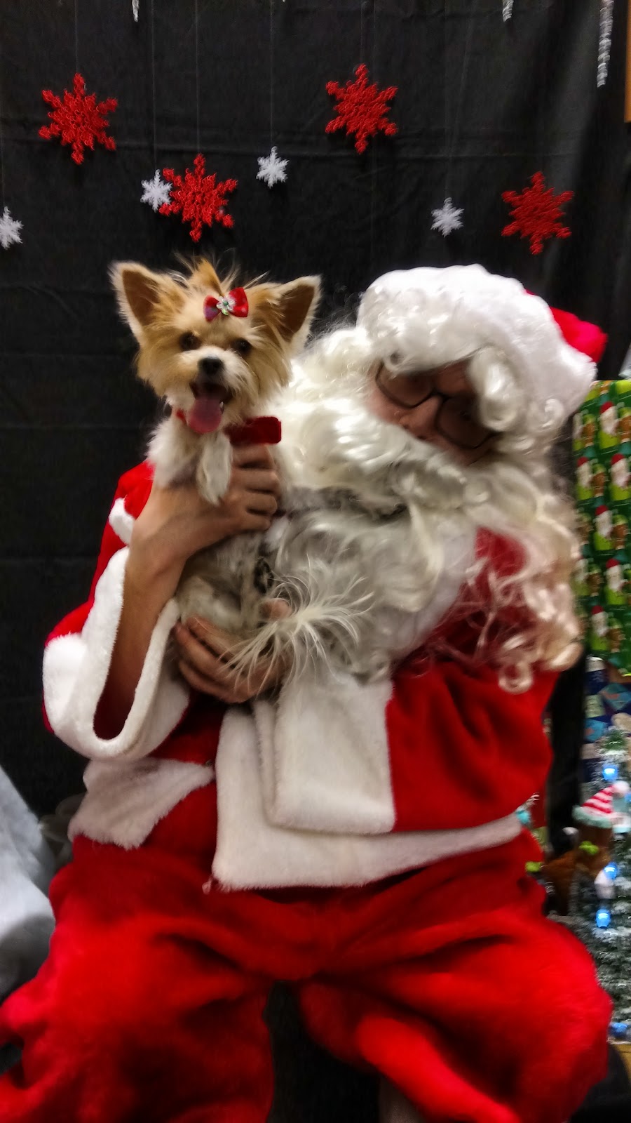 PetSmart | 181 Damascus Rd #5, Bedford, NS B4A 0C2, Canada | Phone: (902) 466-6461