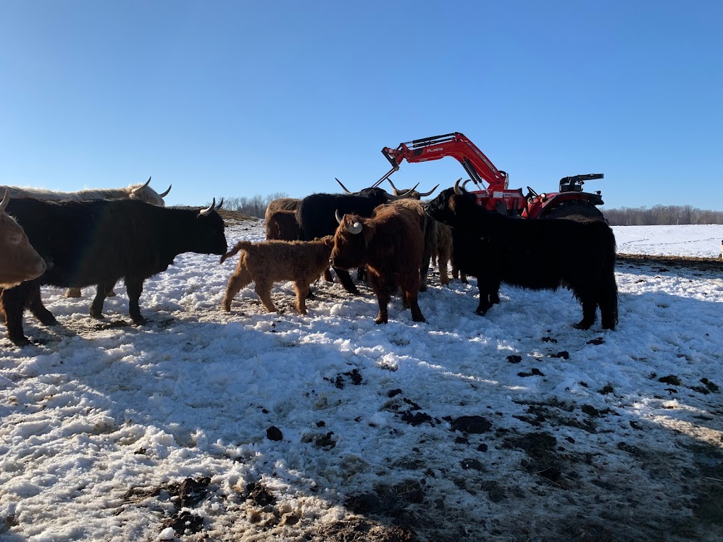 DNAs Farm | 45754 Fordwich Line, Clifford, ON N0G 1M0, Canada | Phone: (519) 573-5283