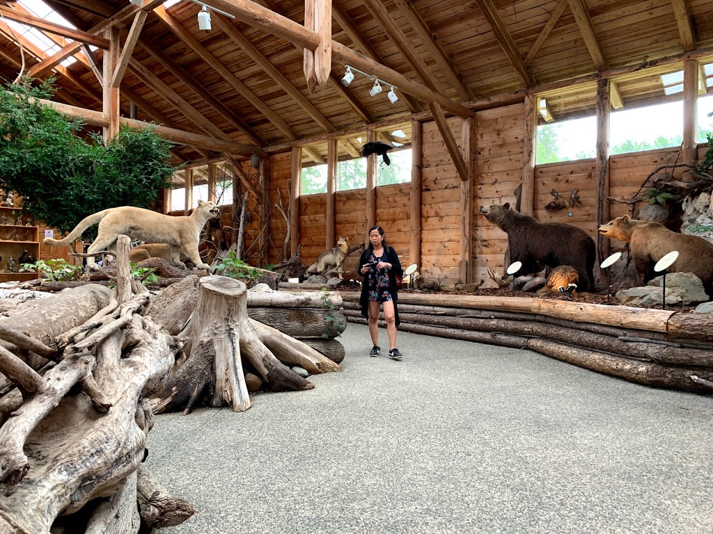 North Island Wildlife Recovery Centre | 1240 Leffler Rd, Errington, BC V0R 1V0, Canada | Phone: (250) 248-8534