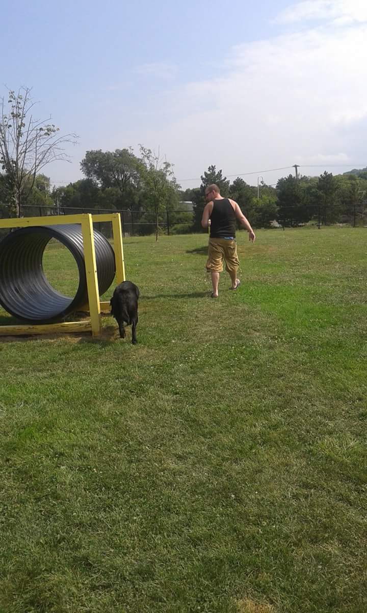 Lewiston Dog Park | Lewiston, NY 14092, USA | Phone: (716) 754-7766