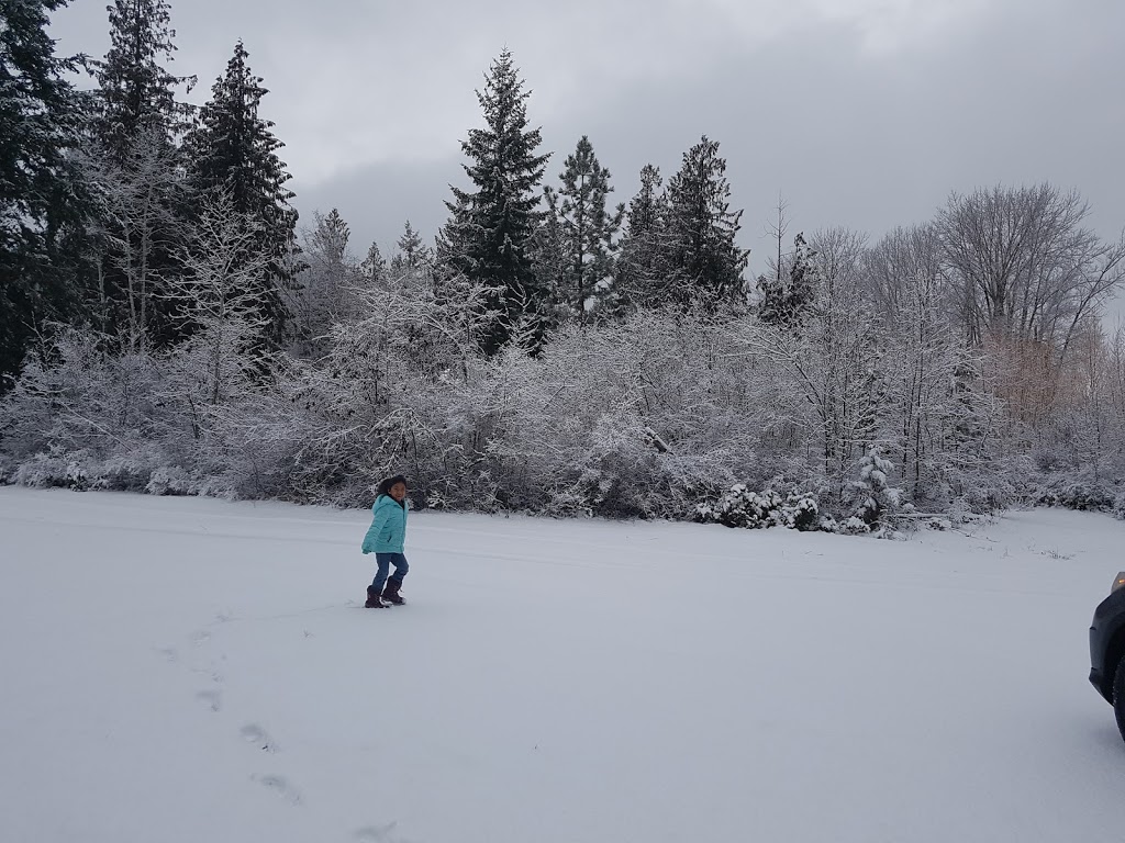 Tims By The River Campsite | 15 Range Rd, Falkland, BC V0E 1W1, Canada | Phone: (250) 379-2379