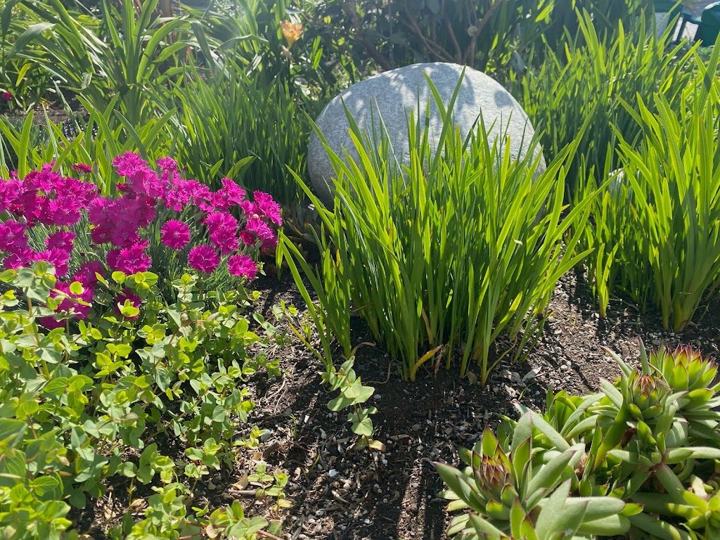 Jennifer Sleigh Garden Design | 2651 Queenswood Dr, Victoria, BC V8N 1X6, Canada | Phone: (250) 588-5366