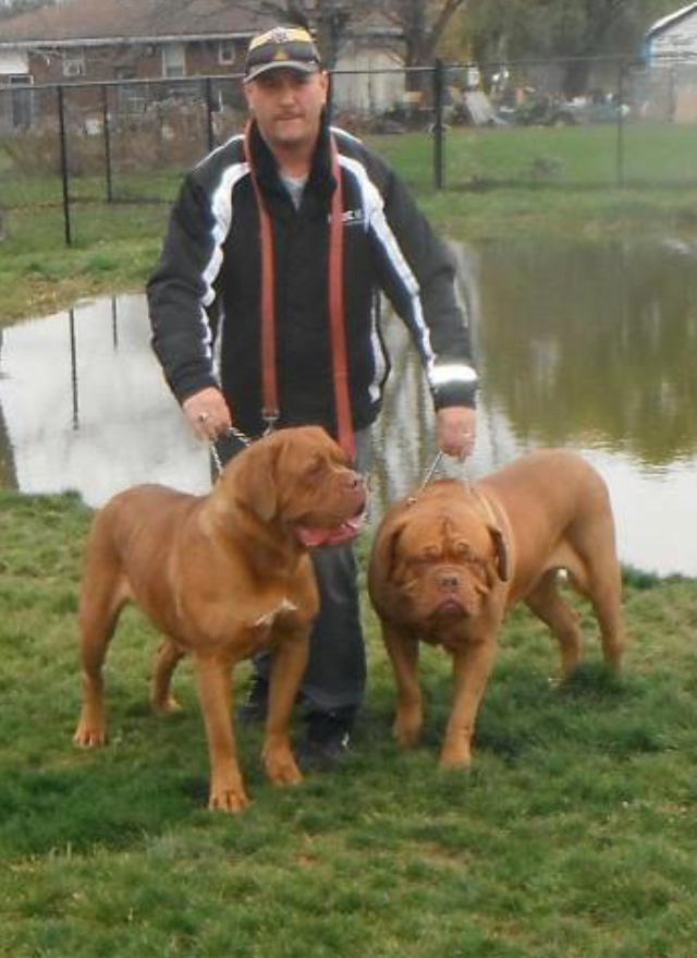 Dogue De Bordeaux Canada | 67 Afton Ave, Hamilton, ON L8M 2B4, Canada | Phone: (905) 512-7338