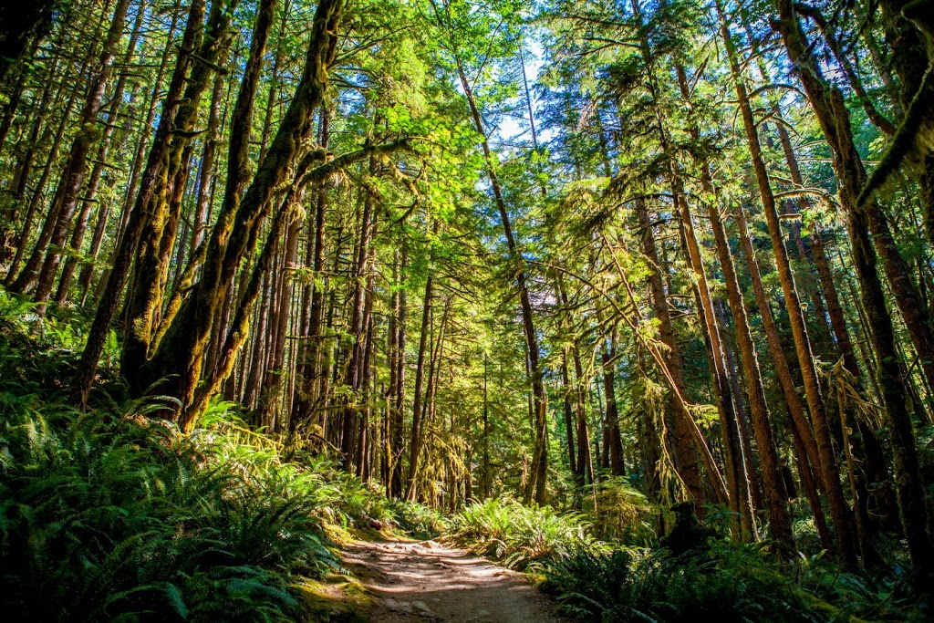 Skookumchuck Narrows Provincial Park | 6671 Egmont Rd, Egmont, BC V0N 1N0, Canada | Phone: (604) 885-3714