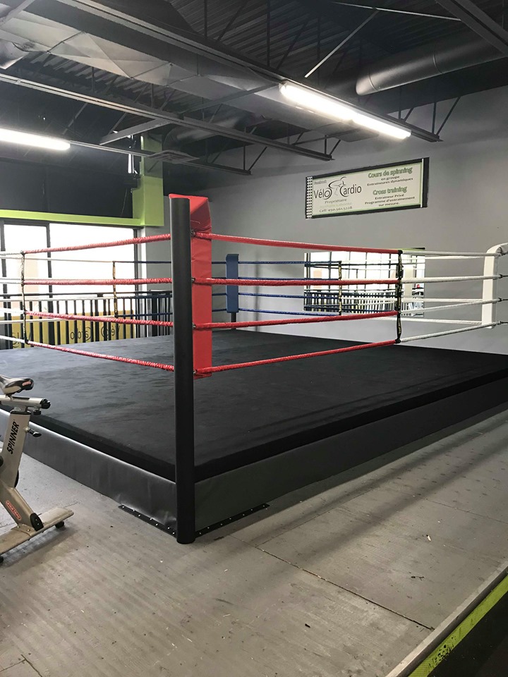 Club Boxing Lion Pierre-De Saurel | 96 Rue du Roi, Sorel-Tracy, QC J3P 4M3, Canada | Phone: (450) 880-5466