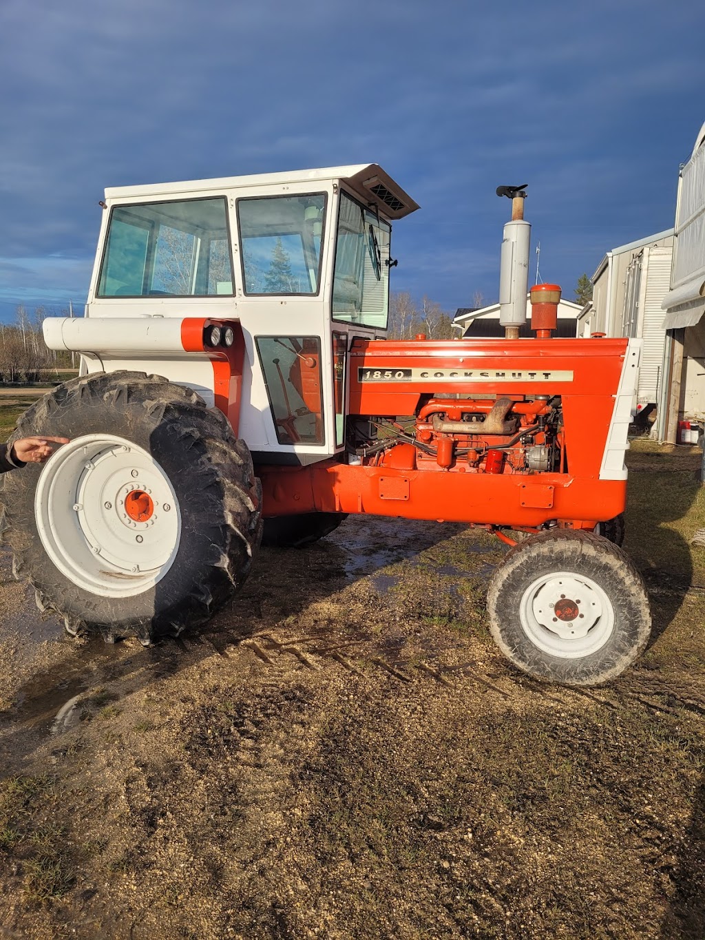 Norsemen Auction Inc | 111264 Rd 18E, Gimli, MB R0C 1B0, Canada | Phone: (204) 651-0008