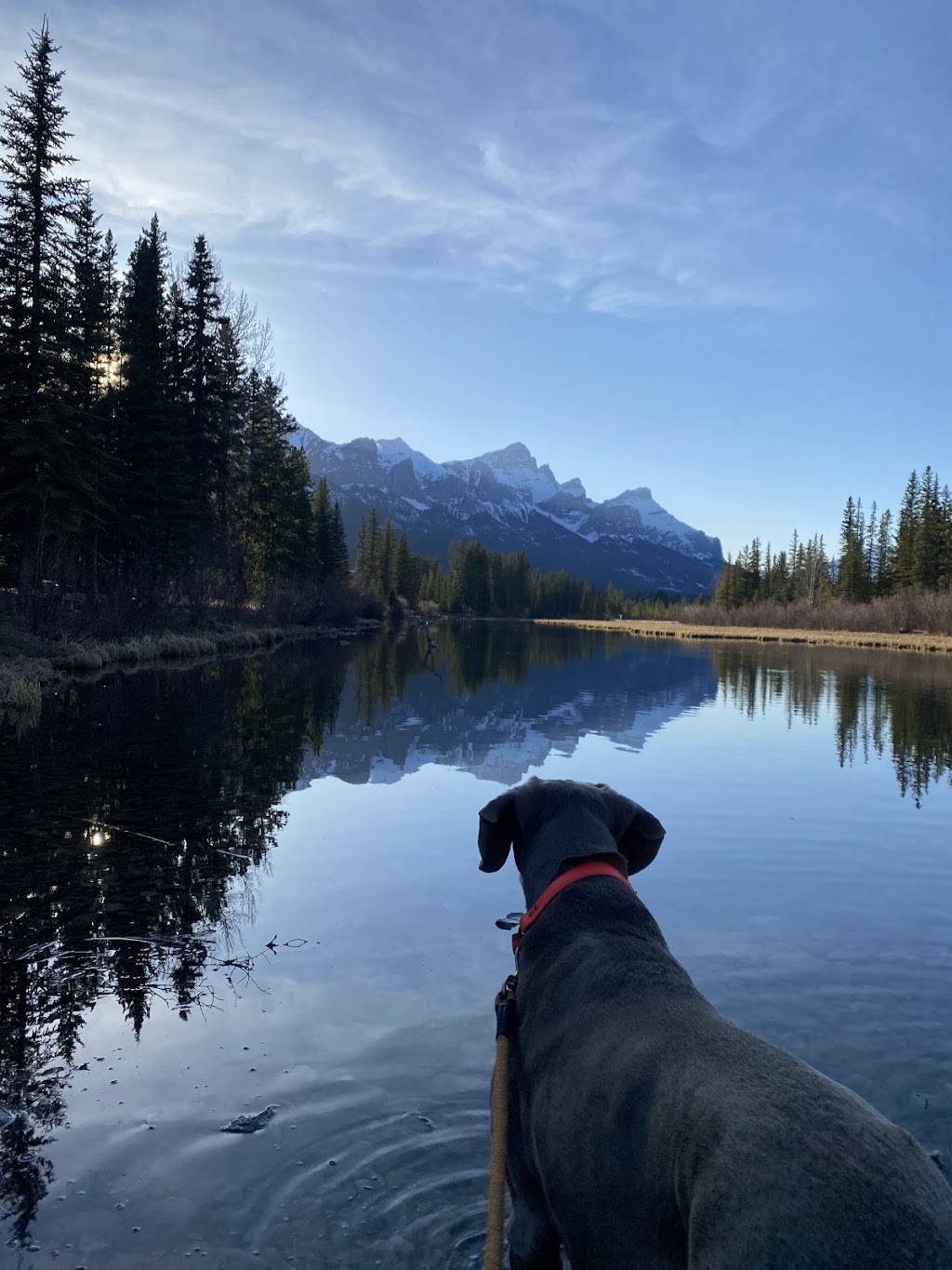 MacTeam Canmore Remax Alpine | 104 709 8 St, Canmore, AB T1W 2K4, Canada | Phone: (587) 839-8123
