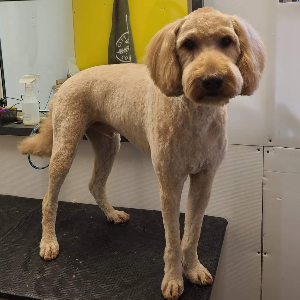 Nikkitas Dog Grooming (westpark) | 40 Wellington Pl, Fort Saskatchewan, AB T8L 0G2, Canada | Phone: (780) 667-5683
