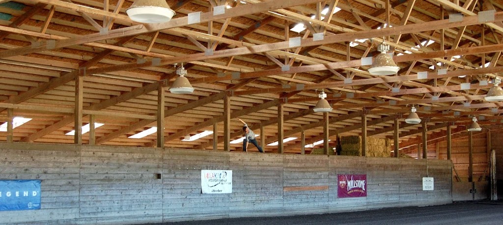 Hayloft Yoga: A Practice for Equine Enthusiasts | 15216 Colony Road, Double S Quarter Horses, Upstairs Hayloft, Bow, WA 98232, USA | Phone: (312) 857-3454