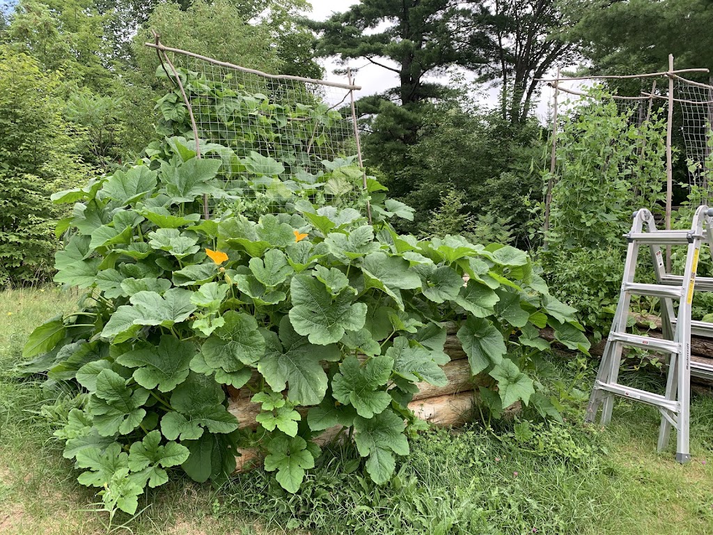 Rocky Forest Gardens | 626 Mt St Patrick Rd, Dacre, ON K0J 1N0, Canada | Phone: (343) 572-3353