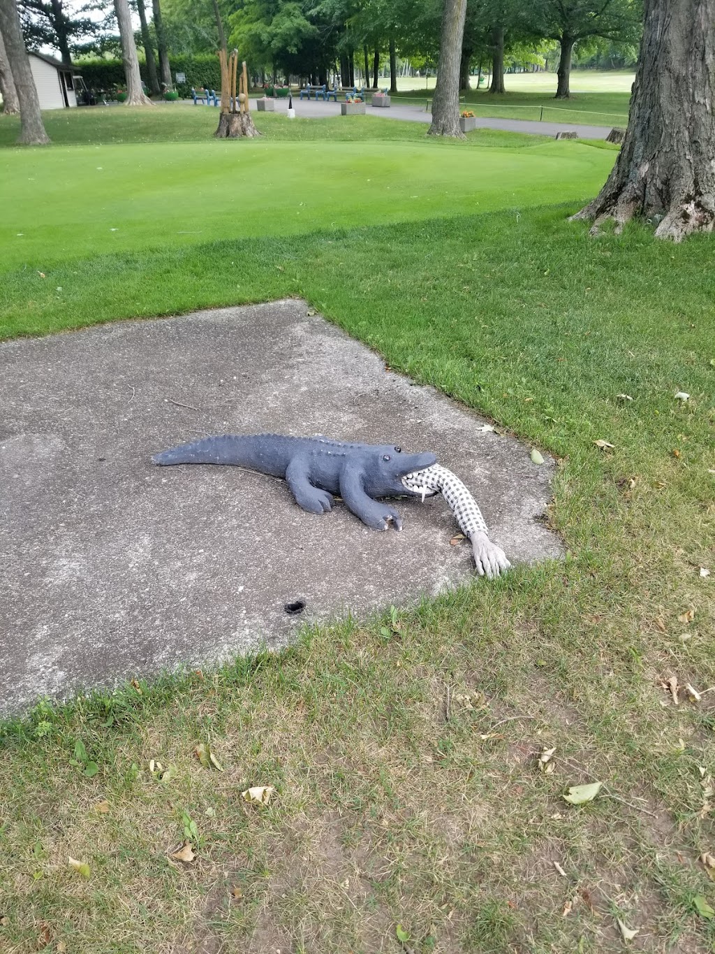 Club De Golf Des Arpents Verts | 5000 Chem. des Grands-Coteaux, Saint-Mathieu-de-Beloeil, QC J3G 2C9, Canada | Phone: (450) 464-3322
