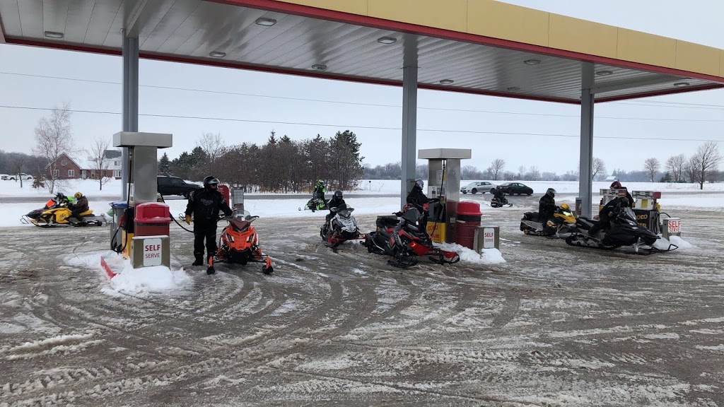 GOCO | 2911 Rd 119, St. Marys, ON N4X 1C5, Canada | Phone: (519) 284-0503