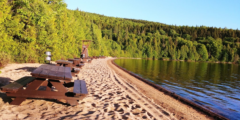 Wildlife Mastigouche | Rang des Pins-Rouges, Saint-Alexis-des-Monts, QC J0K 1V0, Canada | Phone: (800) 665-6527