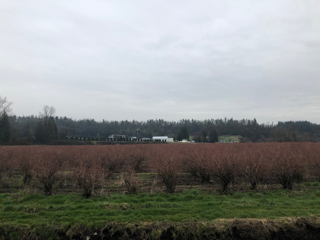 Glen Valley Artichoke Farms | 28182 Marsh McCormick Road, Abbotsford, BC V4X 2G9, Canada | Phone: (604) 857-0321