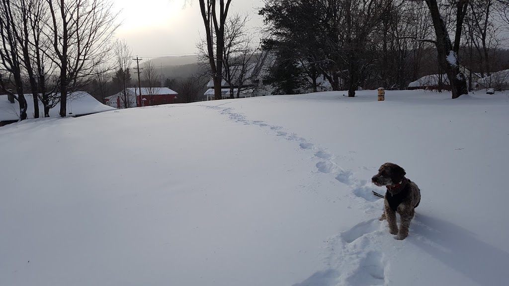 The Rendezvous Bed & Breakfast | 2507 VT-100, Lowell, VT 05847, USA | Phone: (802) 744-2085