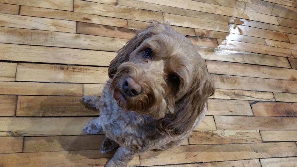 Board of Your Flooring | 82 Usher St, Brantford, ON N3R 1C3, Canada | Phone: (519) 758-1117
