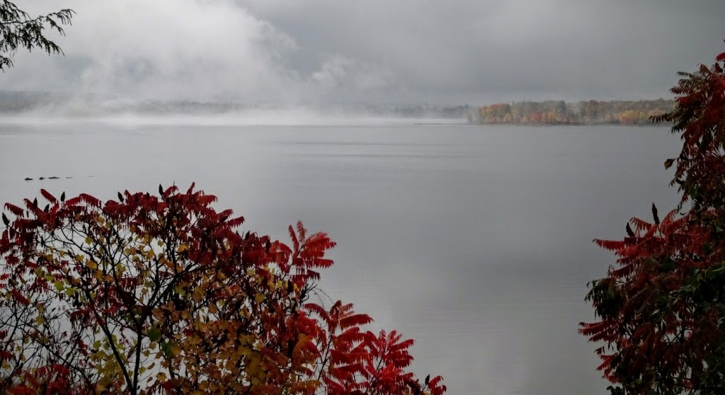 Camp Des Voyageurs Tim Horton | 60 Chem. du Canal, Quyon, QC J0X 2V0, Canada | Phone: (819) 458-3164