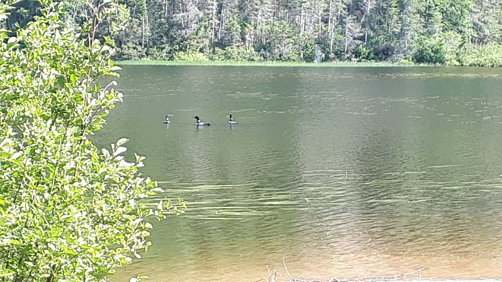 Pourvoirie Raoul Lavoie | Chem. du Lac Victor, Petit-Saguenay, QC G0V 1N0, Canada | Phone: (581) 991-2893