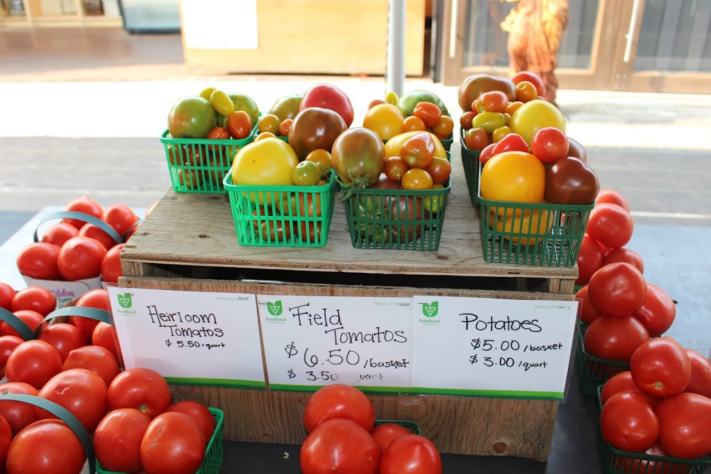 Whitty Farms | 1776 Fourth Ave, St. Catharines, ON L2R 6P9, Canada | Phone: (905) 984-8444