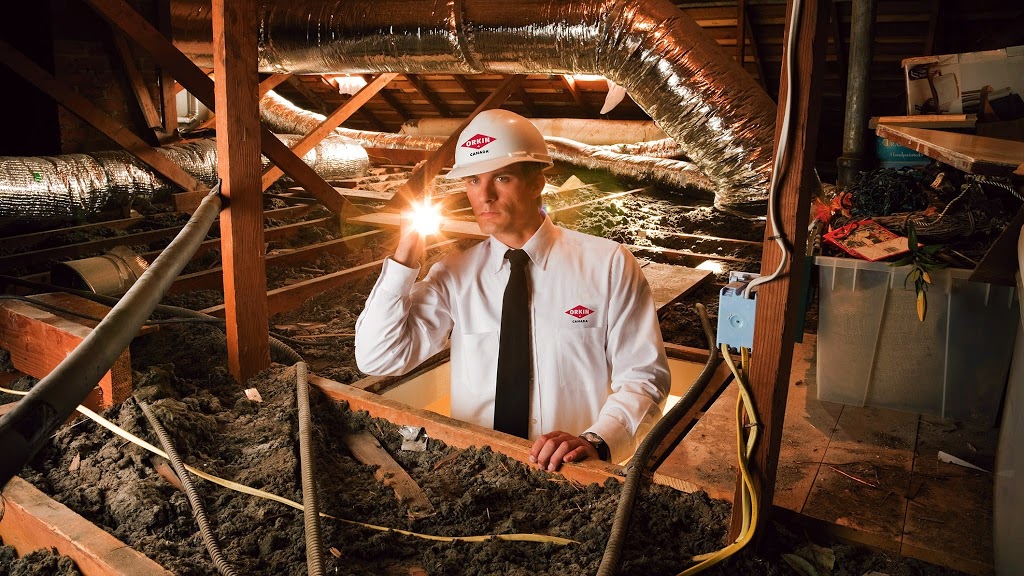 Orkin Canada Pest Control | 650 Boulevard Industriel #102, Blainville, QC J7C 5Y7, Canada | Phone: (800) 570-4157