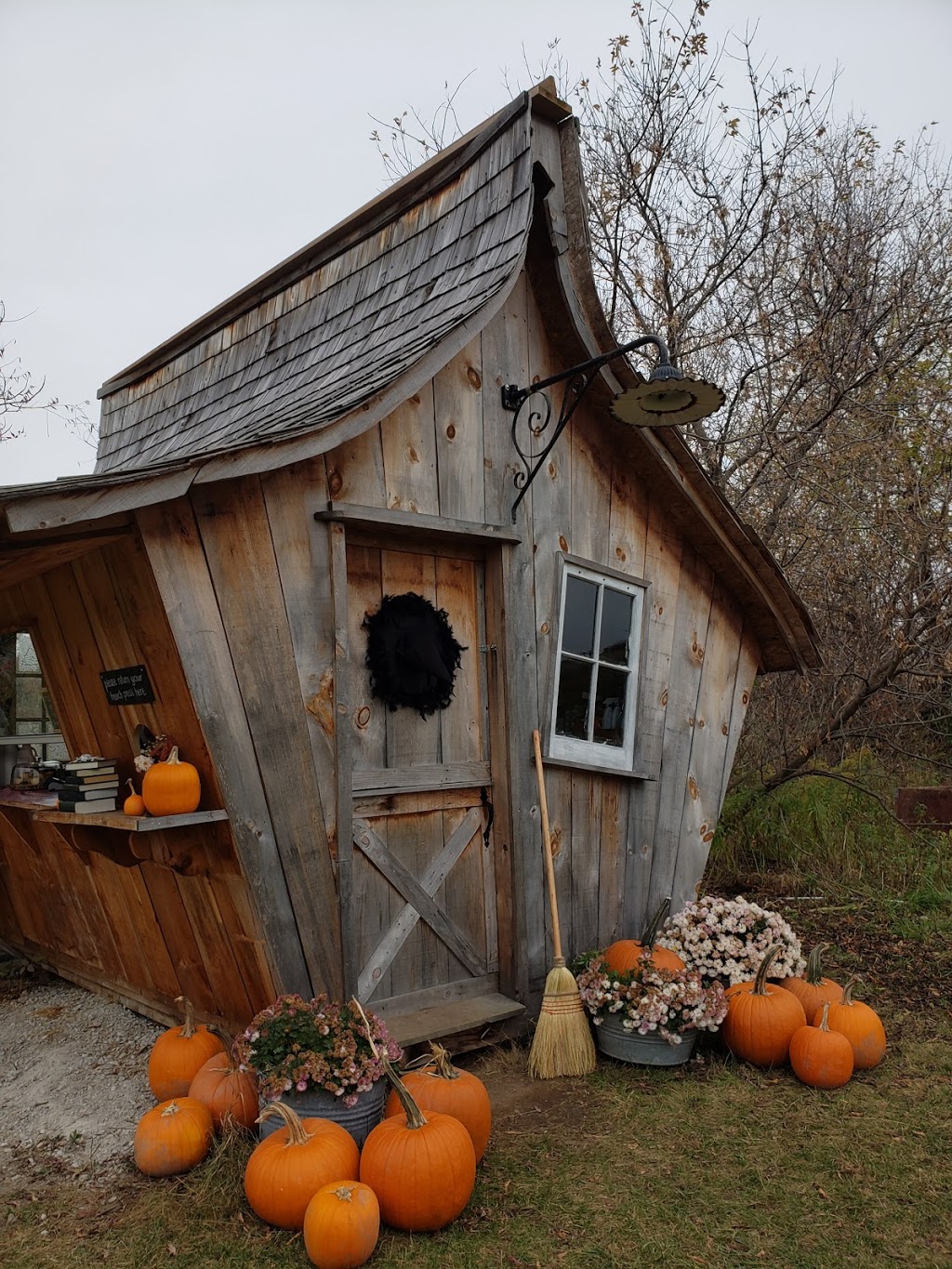 Carl Laidlaw Orchards | 9496 Heritage Rd, Brampton, ON L6X 0A1, Canada | Phone: (905) 456-2095