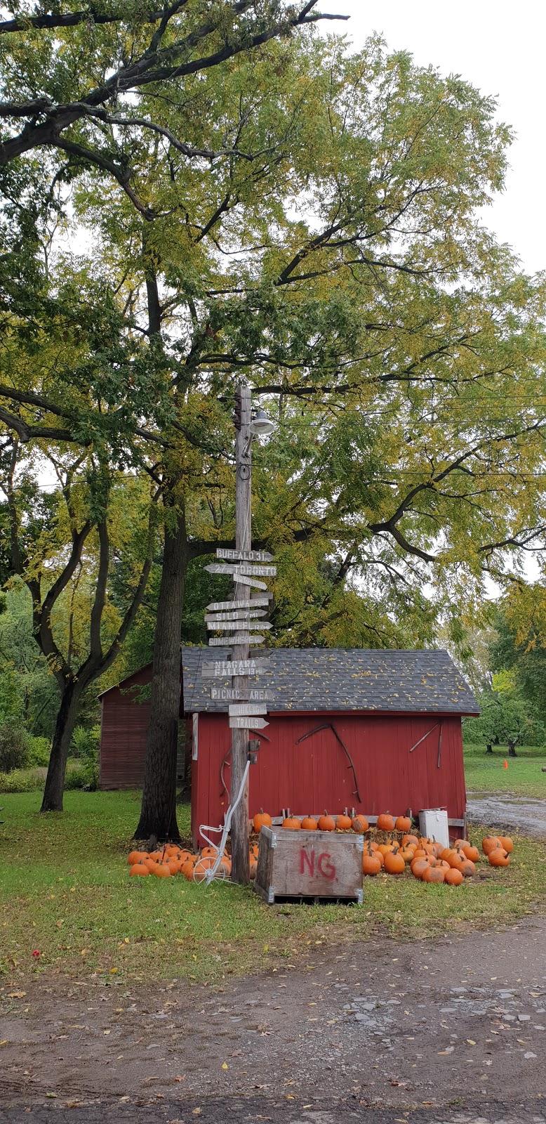 Sanger Farm & Bakery | 852 Lockport St, Youngstown, NY 14174, USA | Phone: (716) 745-7297