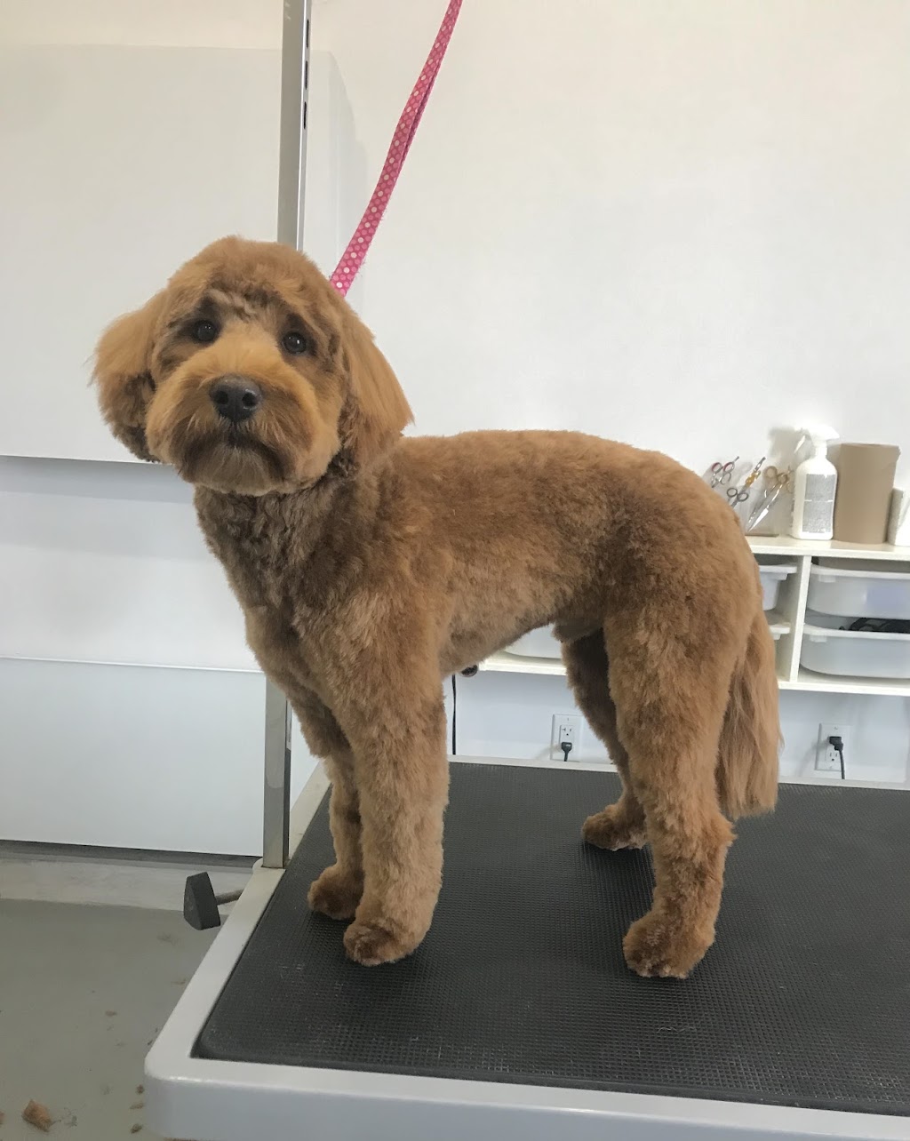 Spa Hôtel Le Canin | 5827 Chem. Beaudette, Sherbrooke, QC J1N 3B8, Canada | Phone: (819) 679-2999