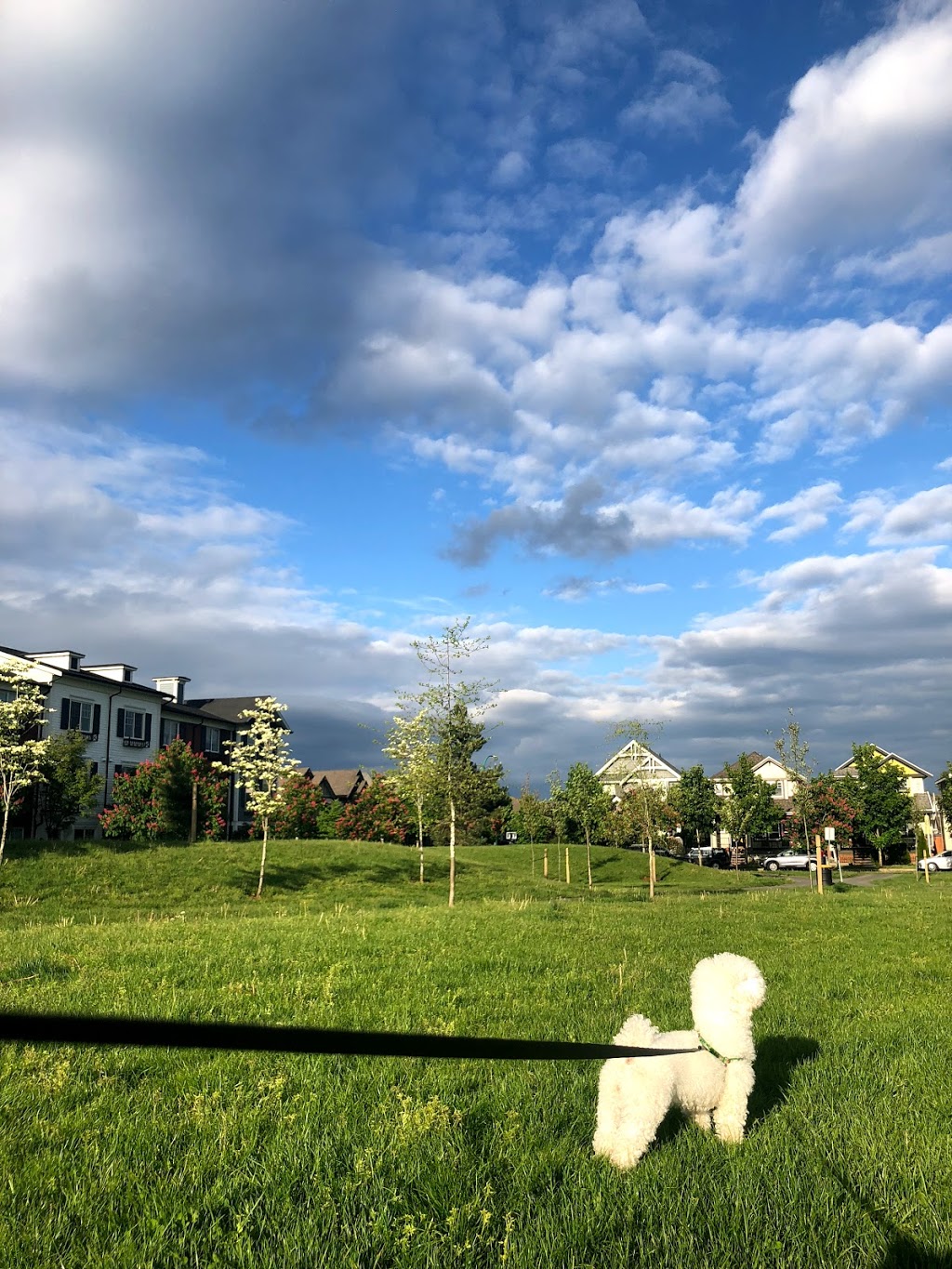 Shannon Park | 7312 192a St, Surrey, BC V4N 6J2, Canada