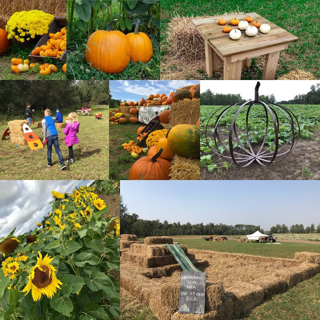 Somerset Pumpkin Farms | 1423 Township Rd 514, Parkland County, AB T7Y 2P5, Canada | Phone: (780) 983-5664