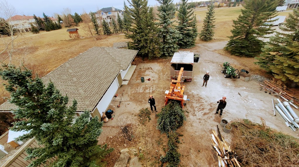 Prairie Woodlands Tree Care Ltd. | 264098, Range Rd 13, Airdrie, AB T4B 5B7, Canada | Phone: (587) 600-8936