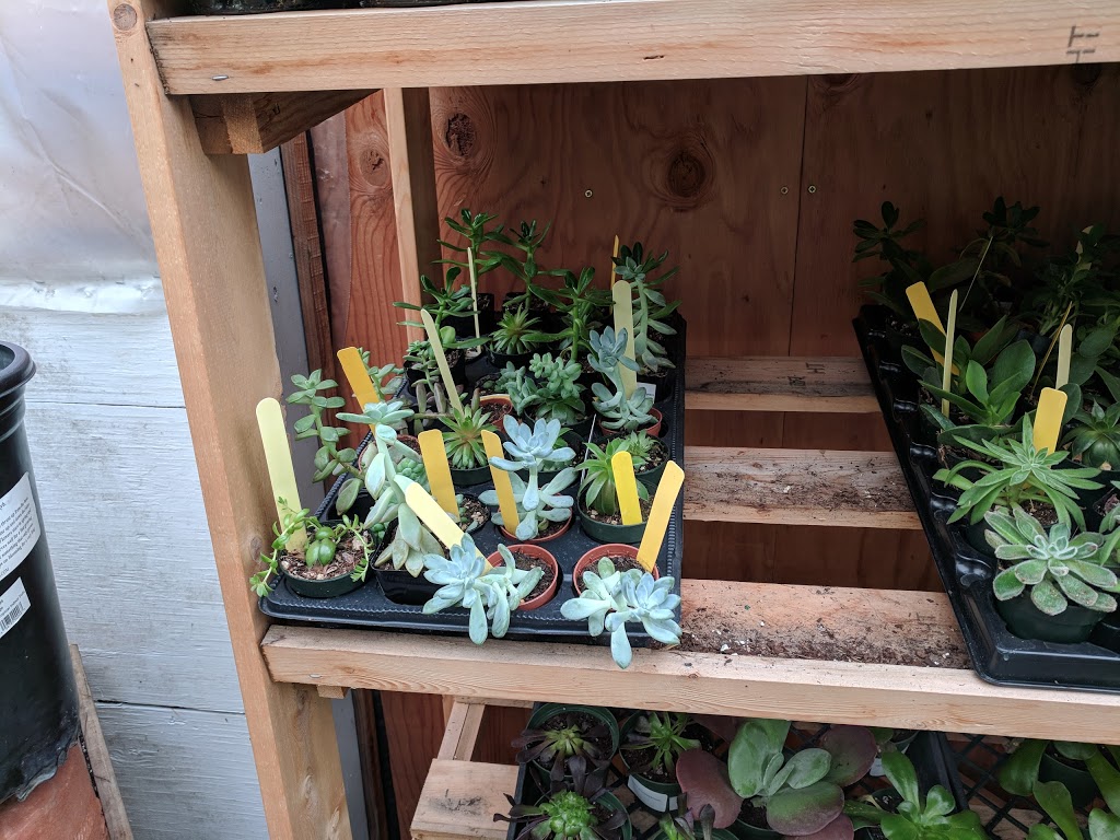 My Garden Nursery | 929 E Bakerview Rd, Bellingham, WA 98226, USA | Phone: (360) 366-8406