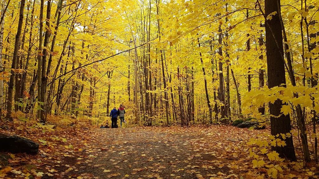 Buckhorn Community Centre | 1782 Lakehurst Rd, Buckhorn, ON K0L 1J0, Canada | Phone: (705) 657-8833