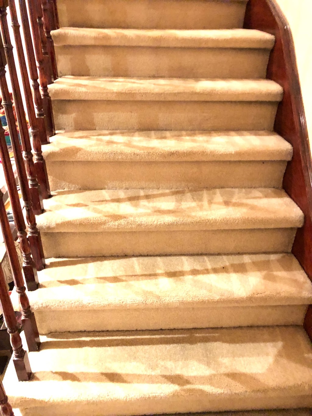 A-Z CITY CLEAN - Carpet, Sofa, Rug,Mattress Cleaning Toronto | 1274 Gerrard St E, Toronto, ON M4L 1Y7, Canada | Phone: (416) 890-1625