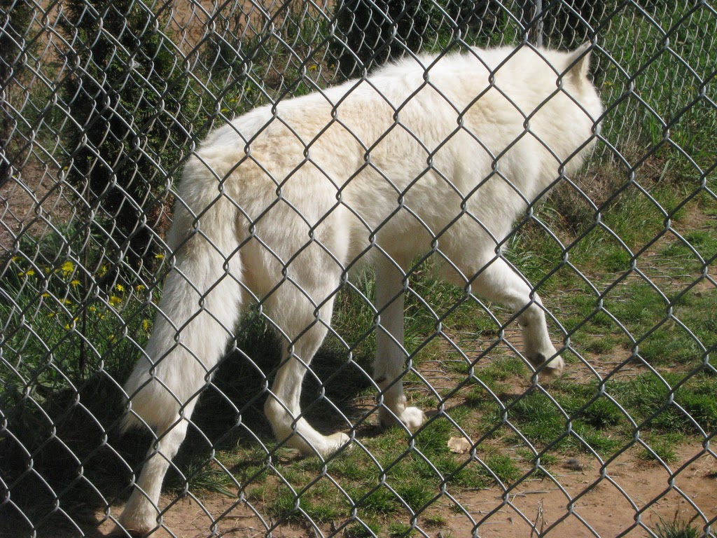 Shubenacadie Provincial Wildlife Park | 149 Creighton Rd, Shubenacadie, NS B0N 2H0, Canada | Phone: (902) 758-2040