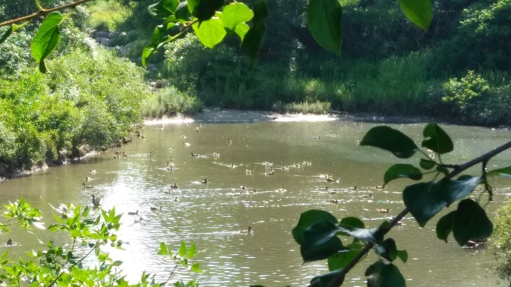 Stormwater Management Area | 25 Fischer-Hallman Rd N, Waterloo, ON N2T 2M9, Canada