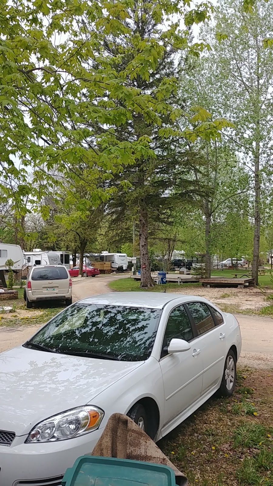 Wildwood Park Trailer Resort | 102040 Pth 9, Winnipeg Beach, MB R0C 3G0, Canada | Phone: (204) 389-3540