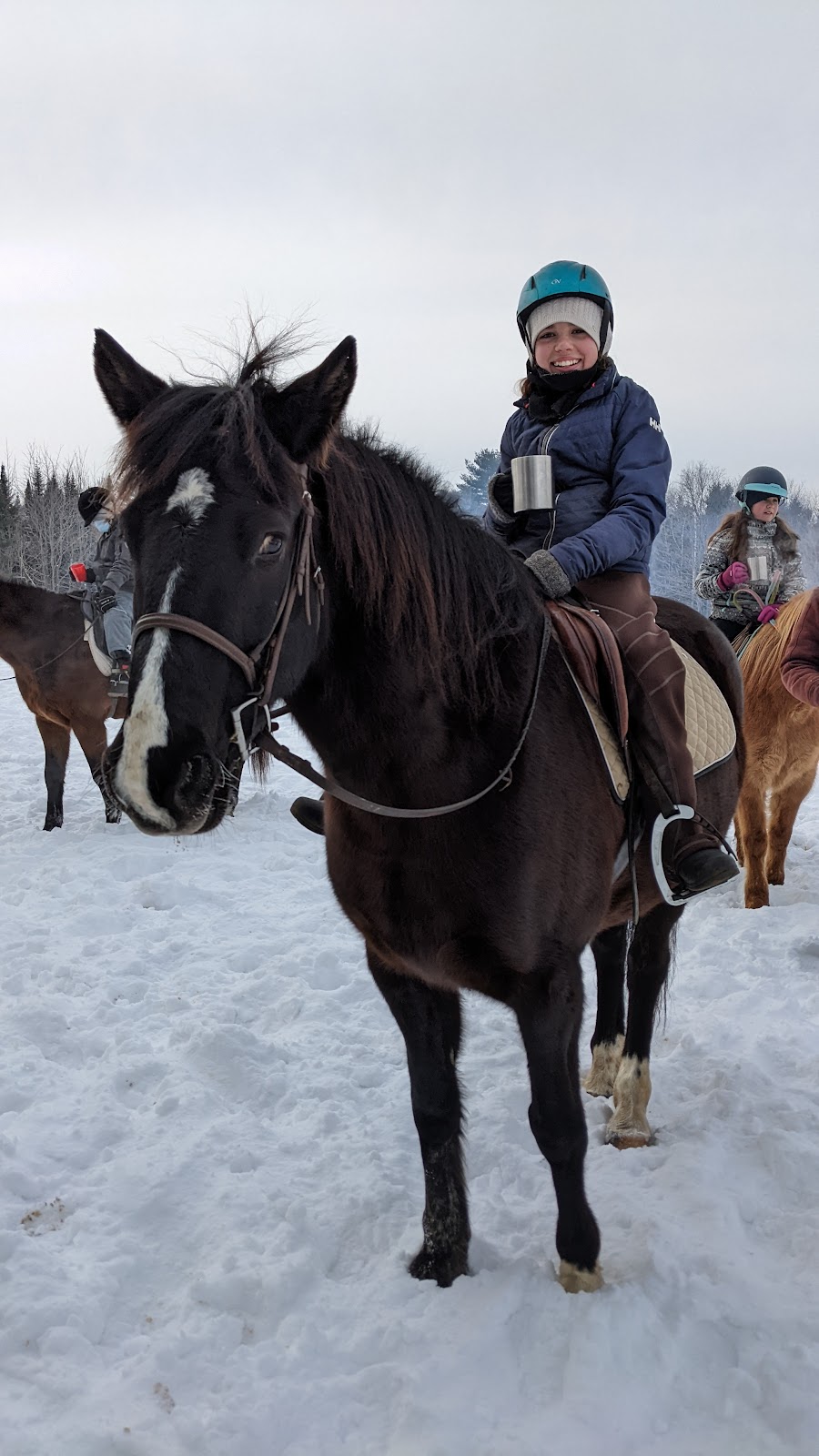 . | 341 QC-329, Lachute, QC J8H 3W9, Canada | Phone: (450) 562-9839